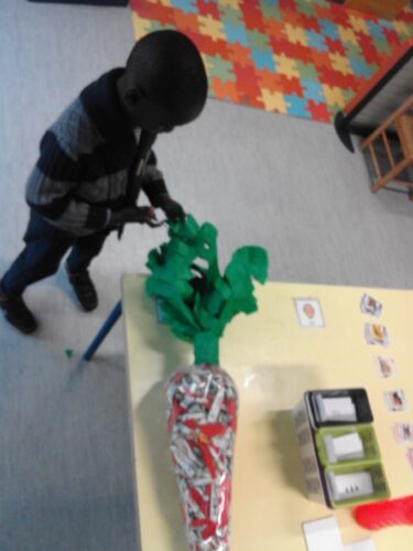 Atamos a cenoura e colocámos a rama feita em papel de seda de cor verde. Um aluno que beneficia da Unidade de Multideficiência faz uns cortes na rama da cenoura.